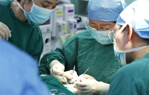 守护“视界”丨李莉教授再次莅临飞飞28预测专业28预测大小